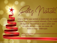 A SEEB ERECHIM DESEJA A TODOS OS BANC�RIOS UM FELIZ NATAL E UM PR�SPERO ANO NOVO!!!!
